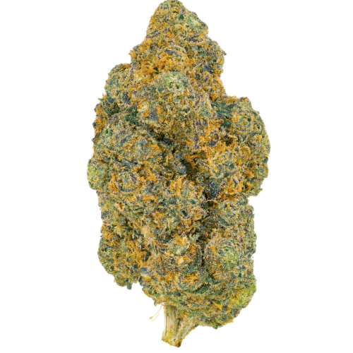 Bud